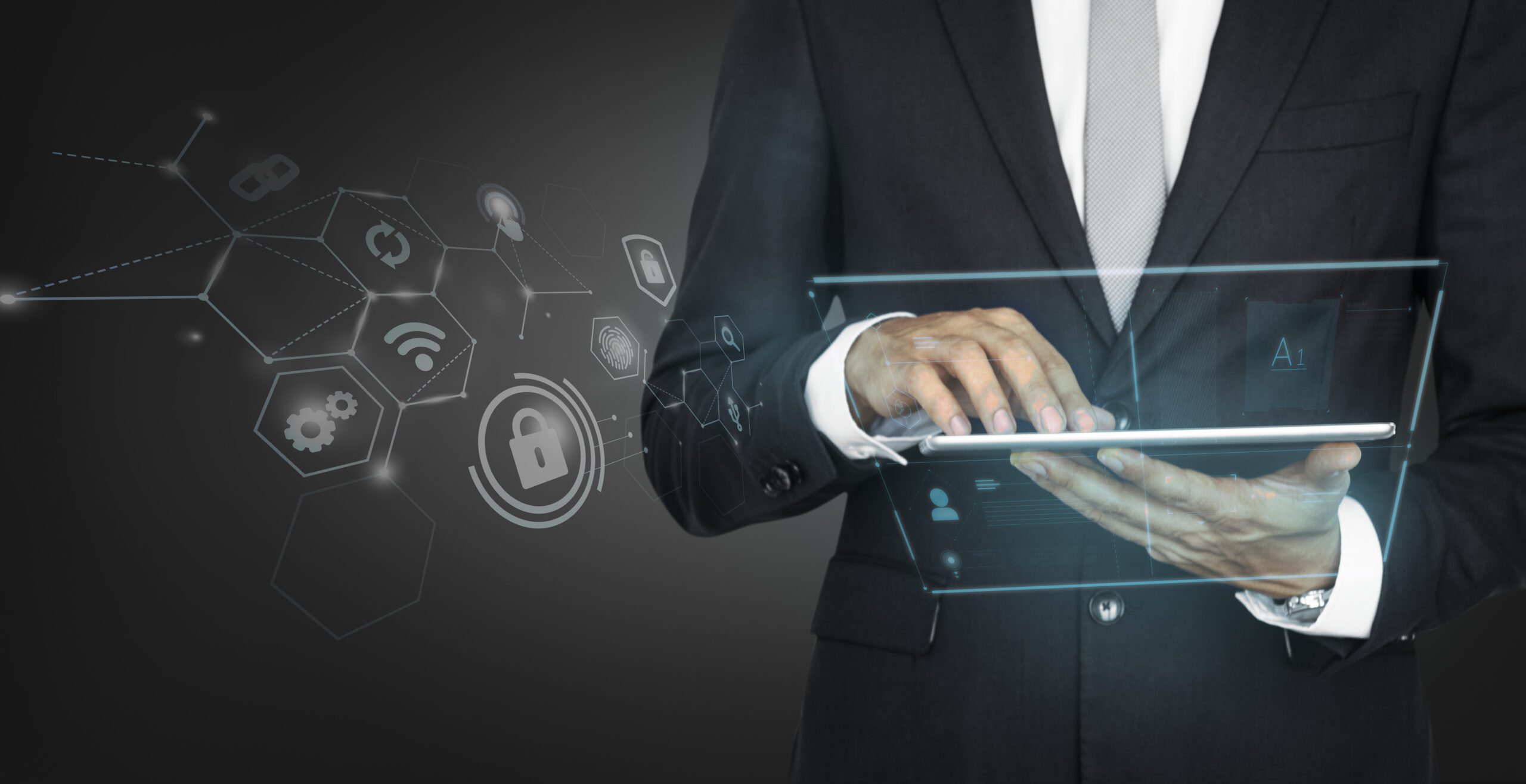 custom web development services