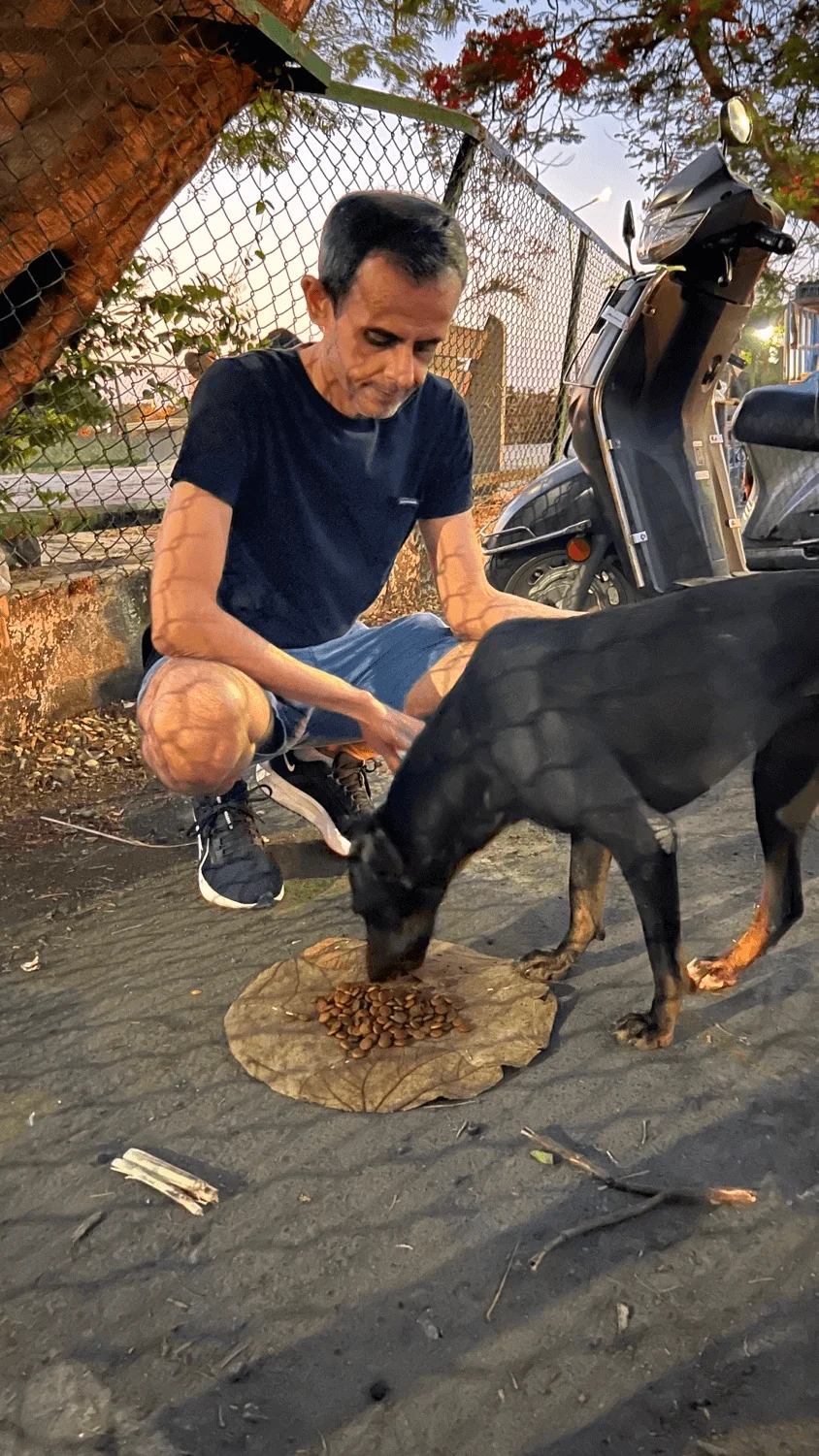 CSR activity pawject