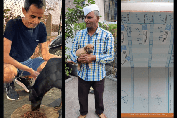 CSR activities - August Infotech