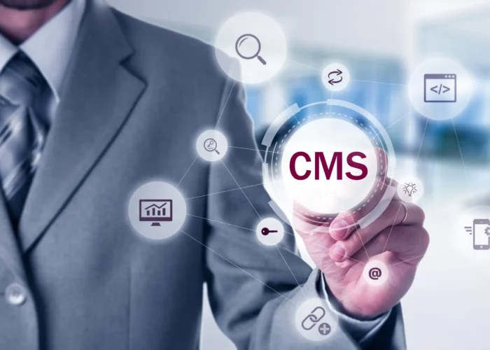 cms development